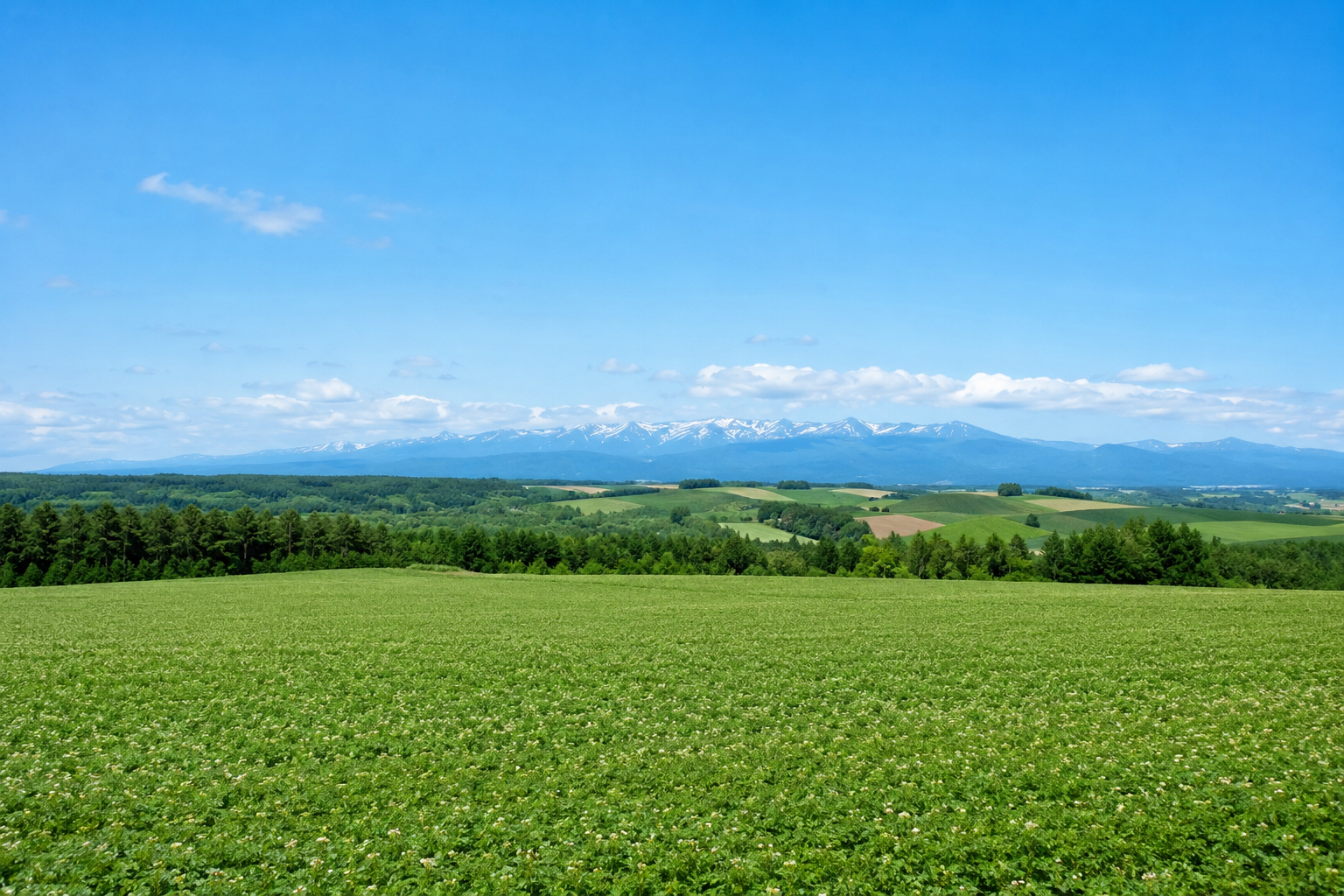 北海道を拠点に